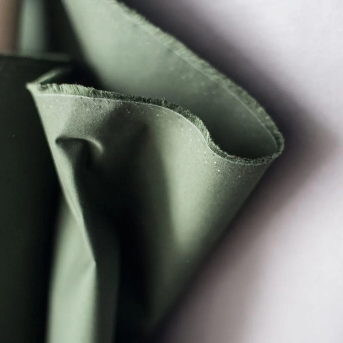 Organic Dry Oilskin Fern - Image 2